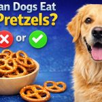 can dogs eat pretzels